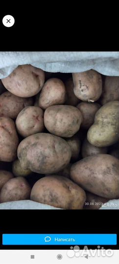 Картофель деревенский со своего огорода