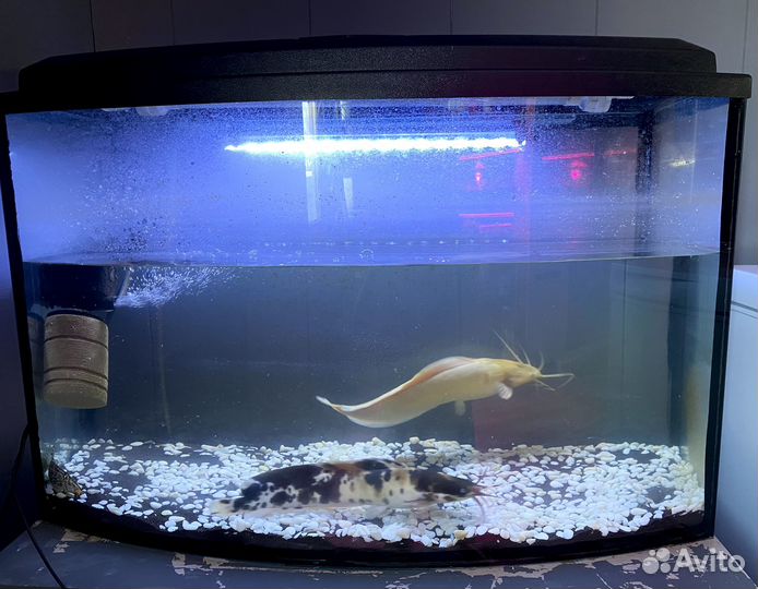 Аквариум 120л