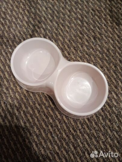 Британская вислоухая кошка