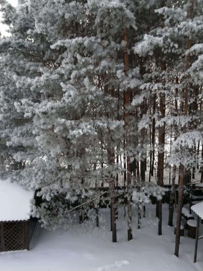 Дом 225 м² на участке 30 сот.
