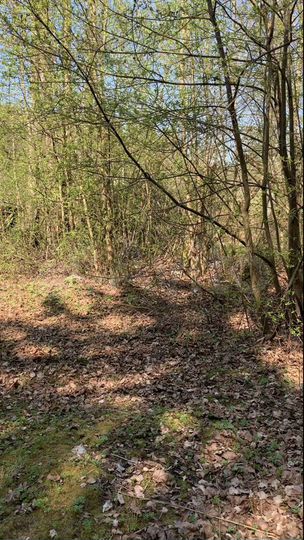 Участок 20 сот. (ИЖС)