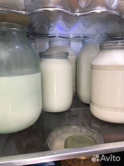 Козье молоко от белых коз