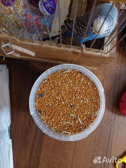 Корм для попугайчиков