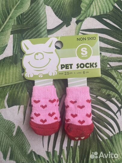 Одежда для собак