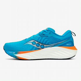 Saucony Triumph 22