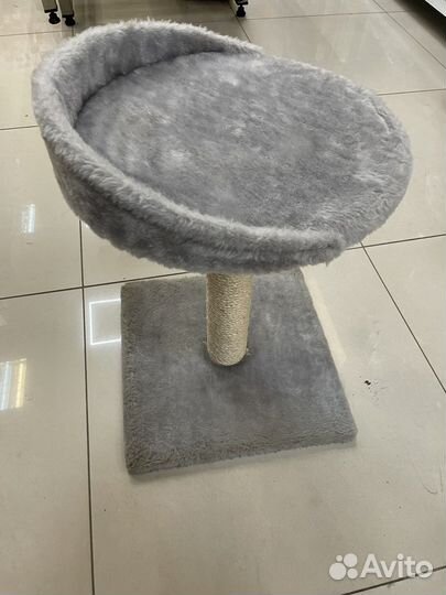 Когтеточка