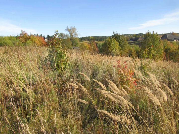 Участок 22,5 сот. (ИЖС)