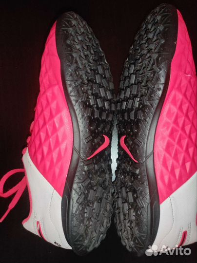 Сороконожки