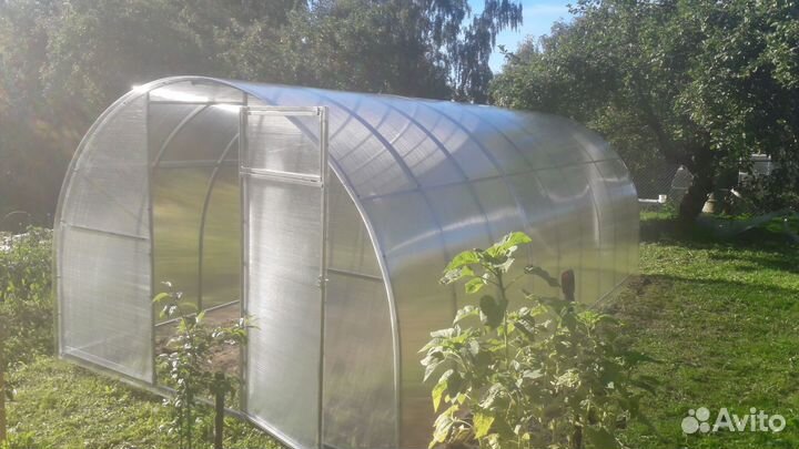 Теплица 6 метров