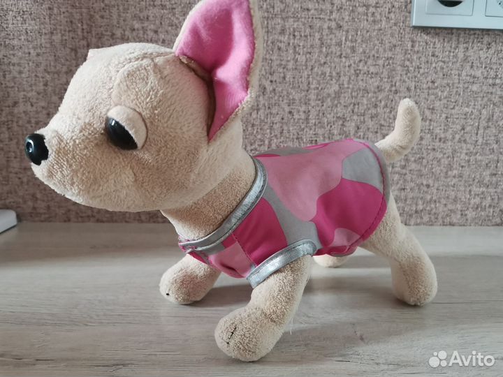 Собачка Чичилав в сумке