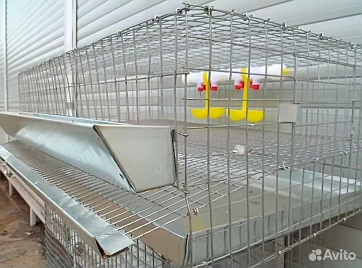 Двойная поилка