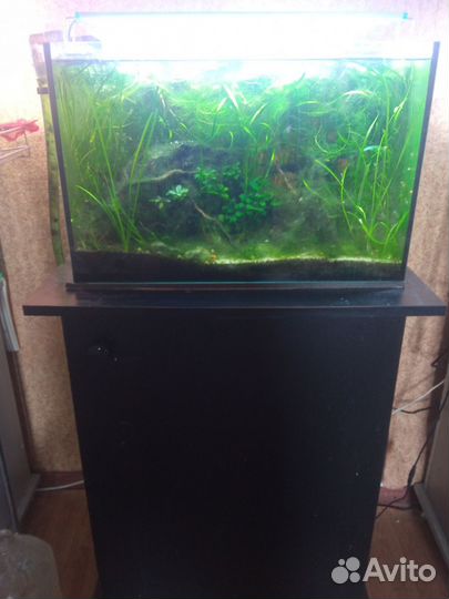Аквариум с тумбой бу