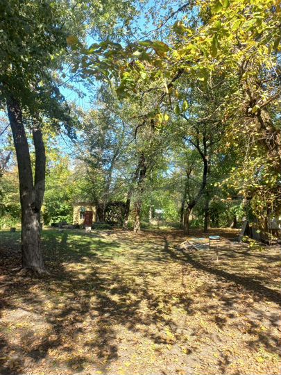 Участок 1 сот. (СНТ, ДНП)