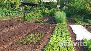 Помощник по хозяйству