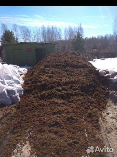 Конский навоз