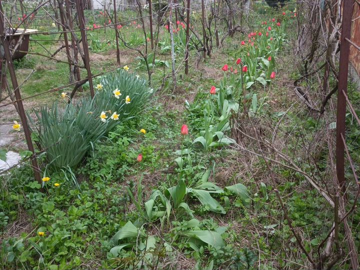 Дача 50 м² на участке 4 сот.