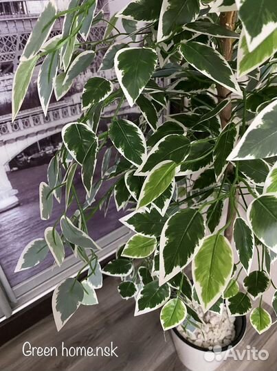 Искусственное дерево в горшке