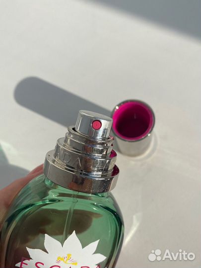 Escada Fiesta Carioca