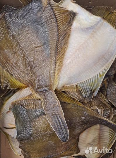 Рыба холодного копчения, вяленная в ассотрименте