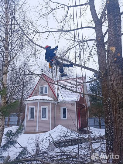 Спил и удаление деревьев