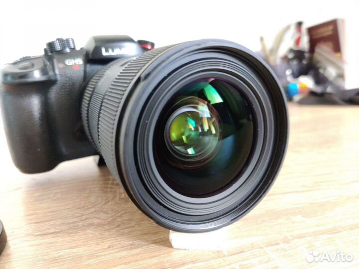 Panasonic GH5S