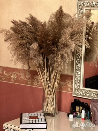 Цветы сухоцветы