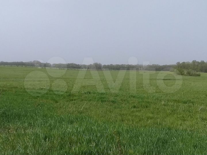 Участок 9 га (СНТ, ДНП)