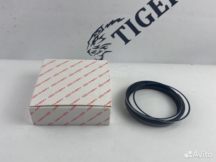 Кольца поршневые 0.25 Chery Fora Tiggo 481