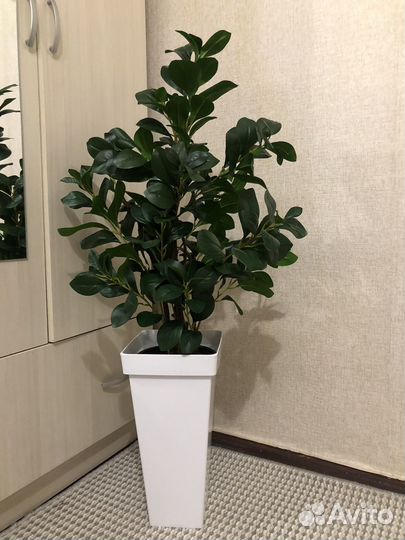 Искусственные растения, осока с метелками и без