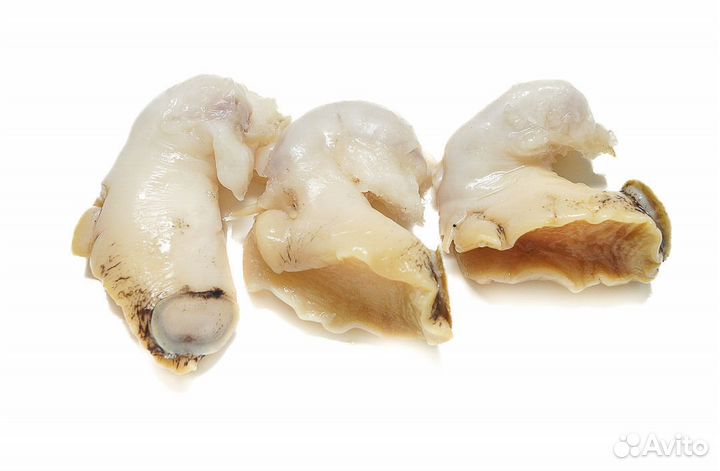 Трубач филе магаданский