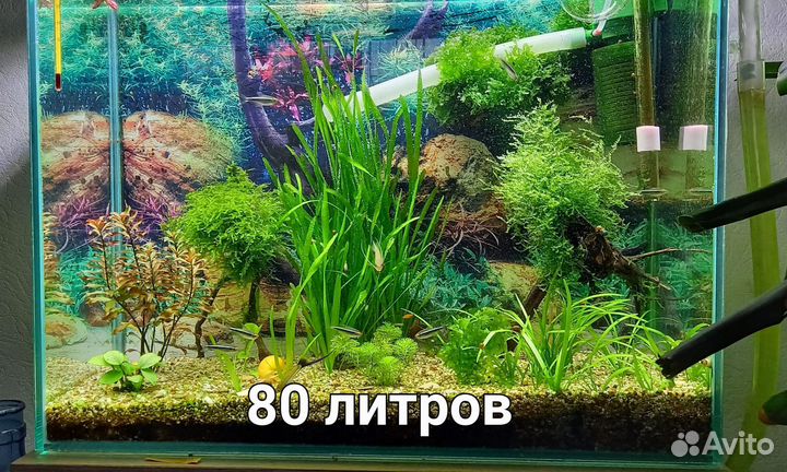 Аквариум