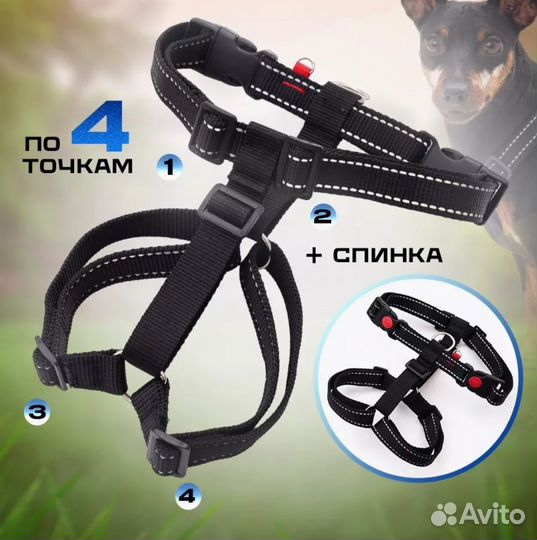 Шлейка для собаки