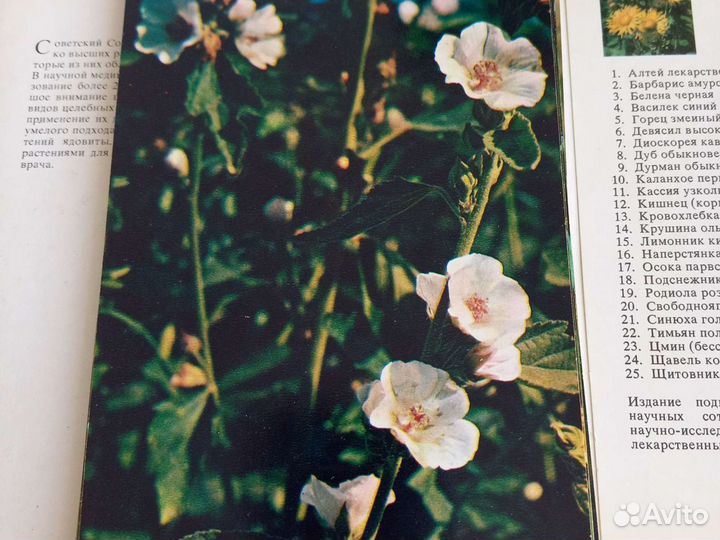 Открытки ссср, лекарственные растения