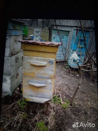 Улей для пчел бу