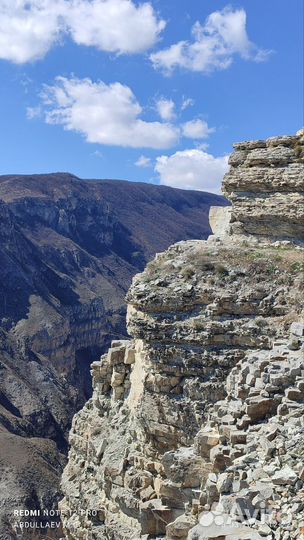 Водитель - гид