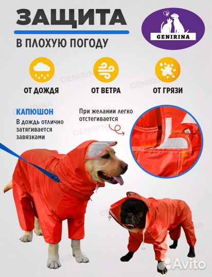 Дождевик для собаки