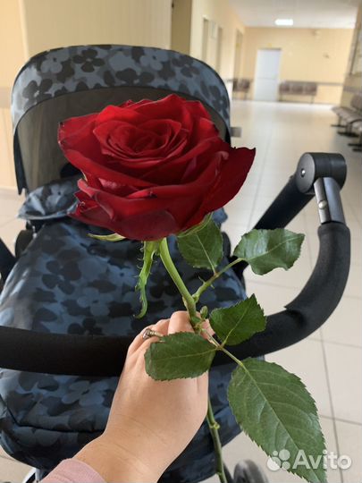 Коляска трансформер 2 в 1