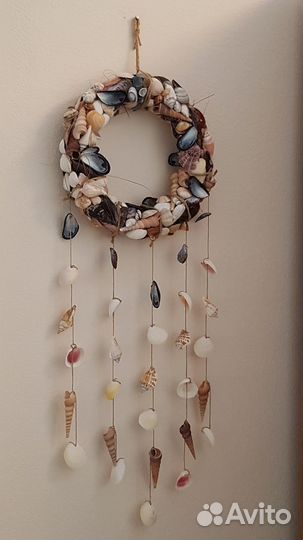 Морские ракушки