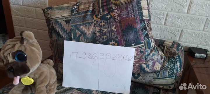 Передержка для животных