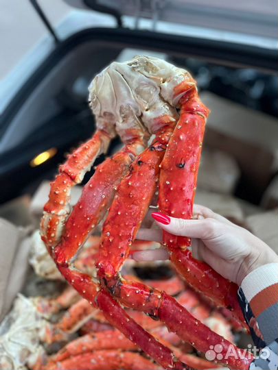 Краб камчатский