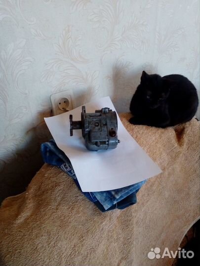 Магнето 124 Б1-на пропитание кто рядом