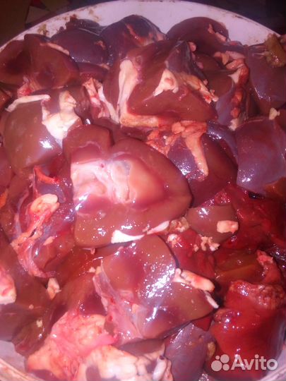 Натуральный корм для собак