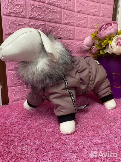 Зимний комбинезон для собак