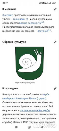 Улитка