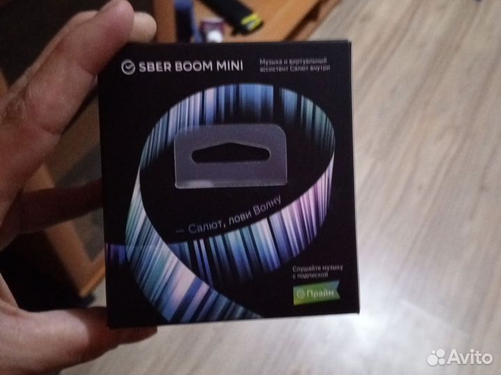 Sberboom mini