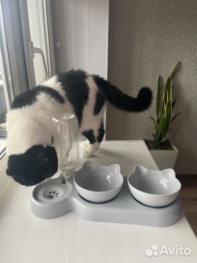 Миска с автопоилкой