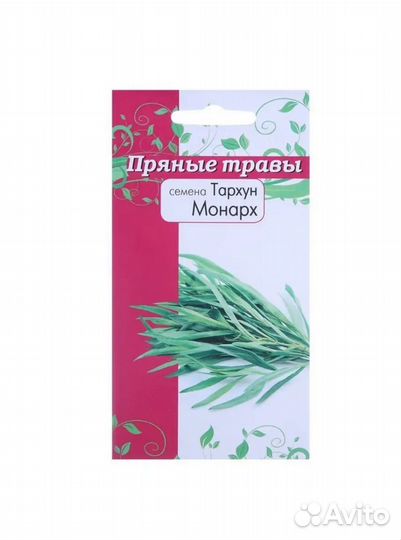 Рассада помидор