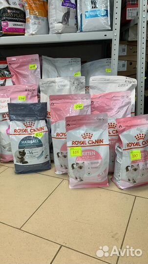 Сухой корм для кошек и собак Royal Conin Pro Plan