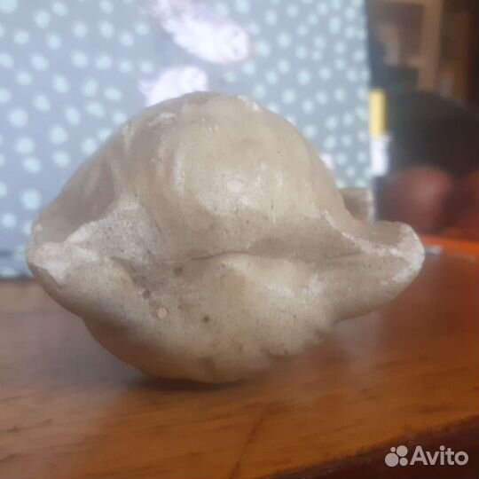 Кот и голуби