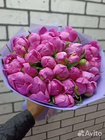 Пионы опт. Москва. Доставка